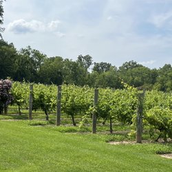 Harmony Hill Vineyards & Estate Winery - Vineyard