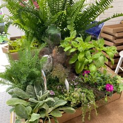 Greenhouse I I - My haul!!