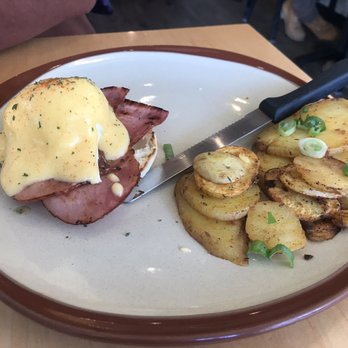 Full Circle Cafe - 1/2 order of the eggs Benedict - Sandwiches Near Me - Nelson, British Columbia Full Circle Cafe - 1/2 order of the eggs Benedict - Sandwiches Near Me - Nelson, British Columbia