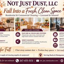 Not Just Dust