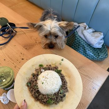 Boris & Horton - Cafes Near Me - New York, New York