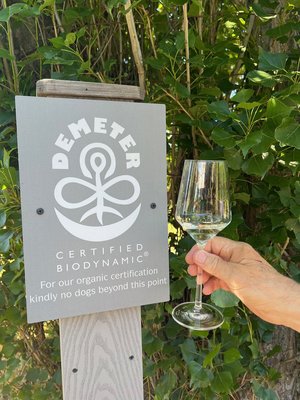 Analemma Wines by null