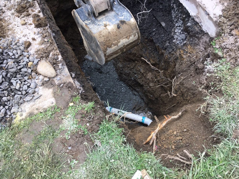 Slide of Carl Krasavage & Son