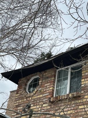 SavATree Salt Lake City