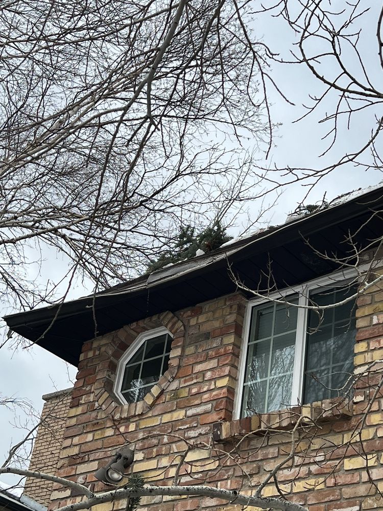 SavATree Salt Lake City - tree service in Salt Lake City, UT