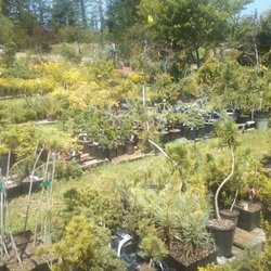Forest Lakes Nursery - Part of the nursery