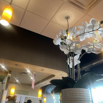 Hokkai Sushi - Sushi Bars Near Me - Glen Ellyn, Illinois Hokkai Sushi - Sushi Bars Near Me - Glen Ellyn, Illinois