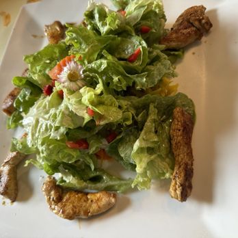Zur Aumühle - Salat mit Putenbrust - Steakhouses Near Me - Haßloch, RP Zur Aumühle - Salat mit Putenbrust - Steakhouses Near Me - Haßloch, RP