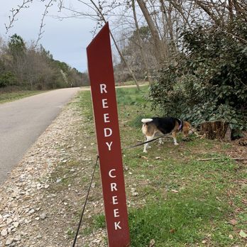 Meredith College - Raleigh Greenway through campus - Colleges & Universities Near Me - Raleigh, North Carolina
