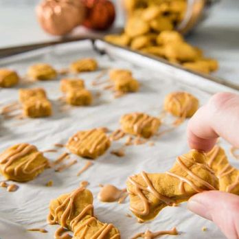 Spoiled Pups Bakehouse - Pumpkin with Peanut Butter Glaze .... - Pet Stores Near Me - New Westminster, British Columbia Spoiled Pups Bakehouse - Pumpkin with Peanut Butter Glaze .... - Pet Stores Near Me - New Westminster, British Columbia
