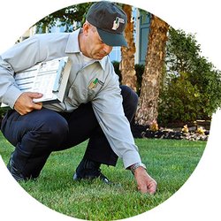 Lawn Doctor