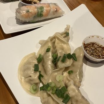 Hughie's - Spring rolls and steamed dumplings - Vietnamese Near Me - Houston, Texas