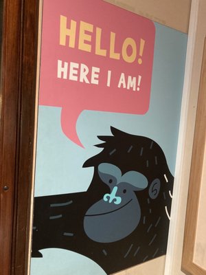 Bristol Museum & Art Gallery by null