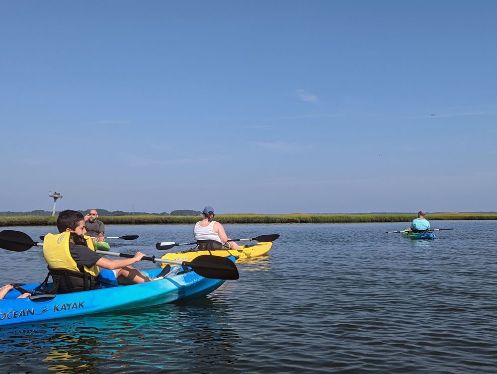 Ecobay Kayak Adventures Logo