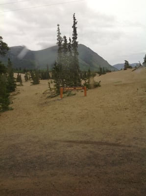 Carcross Desert by null