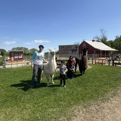 Carlson's Llovable Llamas - Family photo with llamas