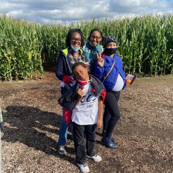 Carpinito Brothers - Finished corn maze - Nurseries & Gardening Near Me - Kent, Washington