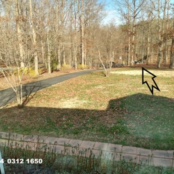 L&B Tree and Landscaping Services - Tree Services Near Me