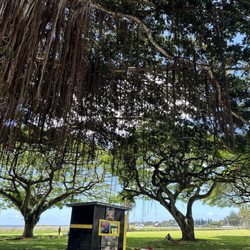 Mo’oheau Park