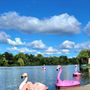 Delaware Park