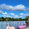 Delaware Park gift card