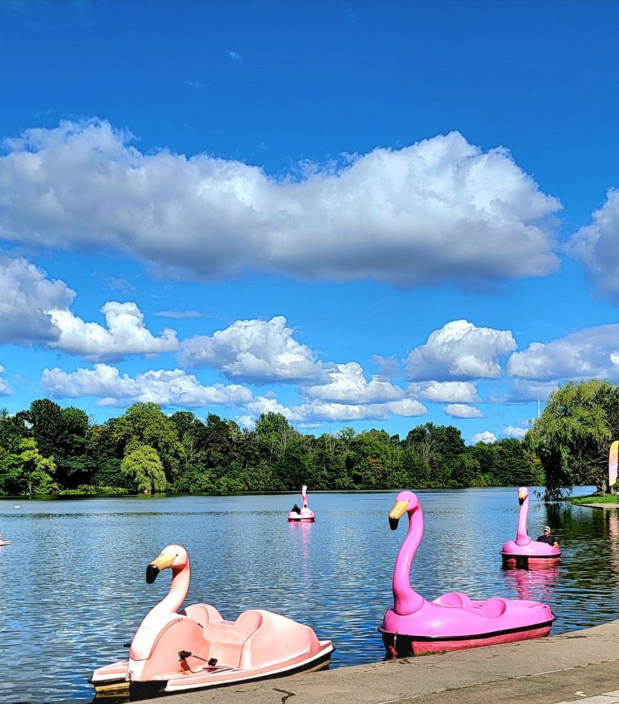 Social spots from Delaware Park