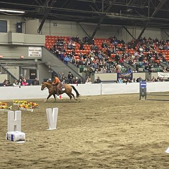 Equine Affaire - Versatile Horse and Rider Competition - Festivals Near Me - London, Ohio Equine Affaire - Versatile Horse and Rider Competition - Festivals Near Me - London, Ohio