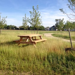 Rainbow Meadow Park - Picnic table in growing meadow habitat