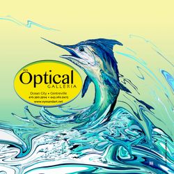 An Optical Galleria - Free gift with purchase of frames and lenses