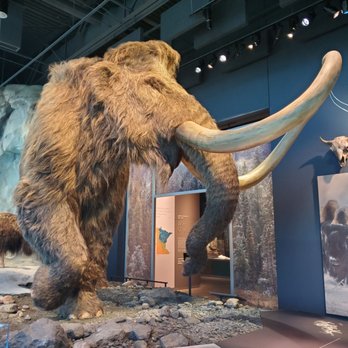 Bell Museum - Museums Near Me - Saint Paul, Minnesota