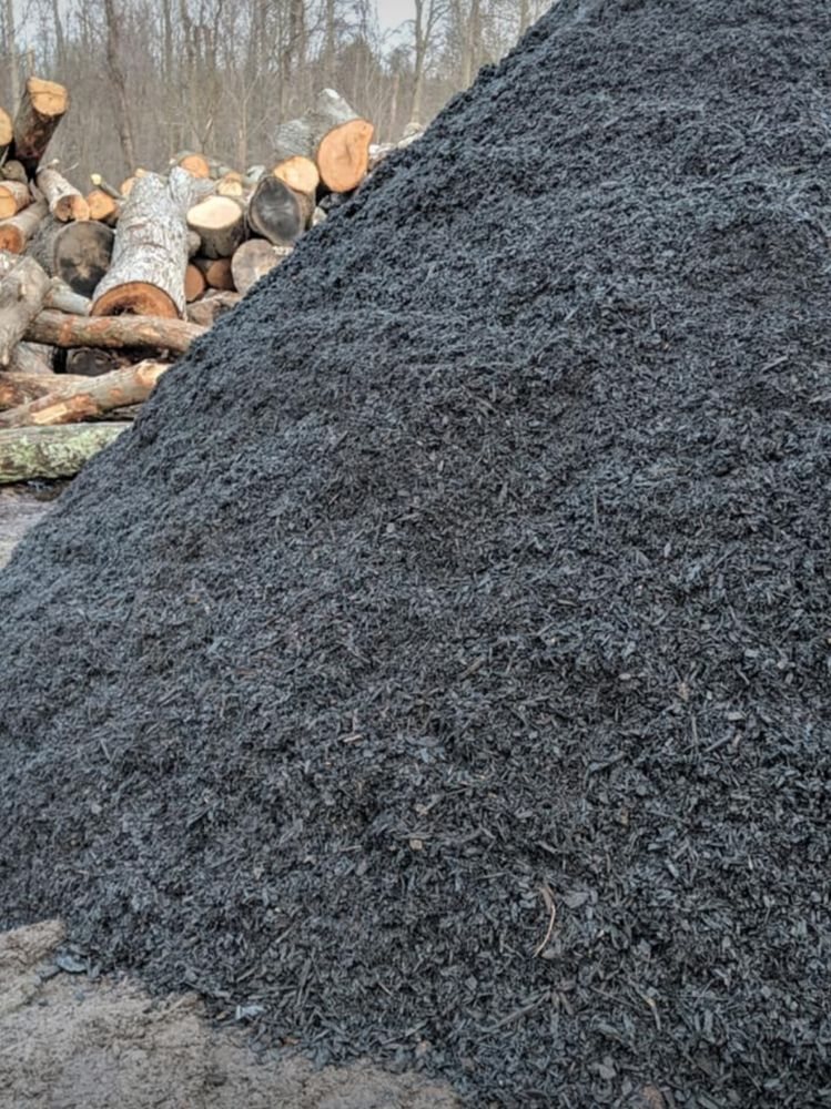 B T Haystack Tree Services - tree service in Grand Rapids, MI