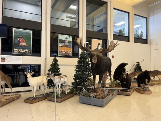 Portland International Jetport by null