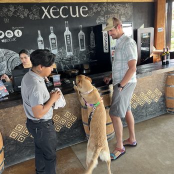 Xecue - helping pay the tab - Wineries Near Me - Ensenada, BCN