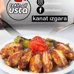 Tekin Ali Usta