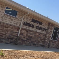 Murphy Animal Shelter