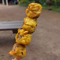 Haleiwa Farmers' Market - Fried pork shumai from one of the stands