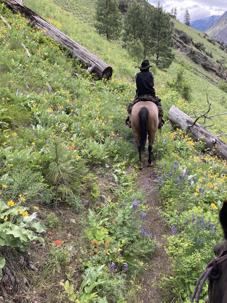 SALMON RIVER LODGE North Fork, Idaho Vacation Rentals Phone