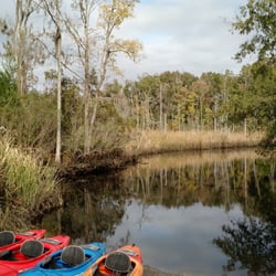 Beaufort Kayak Tours