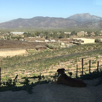Once Pueblos - This is the view from the restaurant - Mexican Near Me - Valle de Guadalupe, BCN Once Pueblos - This is the view from the restaurant - Mexican Near Me - Valle de Guadalupe, BCN
