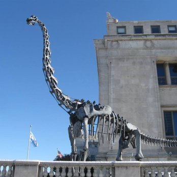 Soldier Field - Dinosaur skeleton just outside the stadium - Stadiums & Arenas Near Me - Chicago, Illinois Soldier Field - Dinosaur skeleton just outside the stadium - Stadiums & Arenas Near Me - Chicago, Illinois