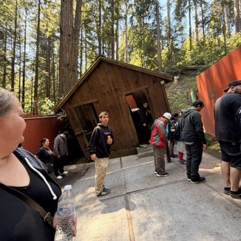 Mystery Spot - Amusement Parks Near Me - Santa Cruz, California Mystery Spot - Amusement Parks Near Me - Santa Cruz, California