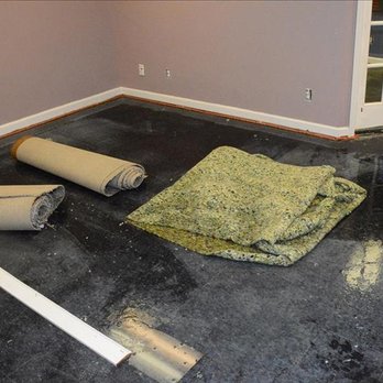 SERVPRO of Tarpon - The supply line to the sink spewed enough water in this adjoining living room to ruin the carpet padding... - Damage Restoration Near Me - Holiday, Florida SERVPRO of Tarpon - The supply line to the sink spewed enough water in this adjoining living room to ruin the carpet padding... - Damage Restoration Near Me - Holiday, Florida