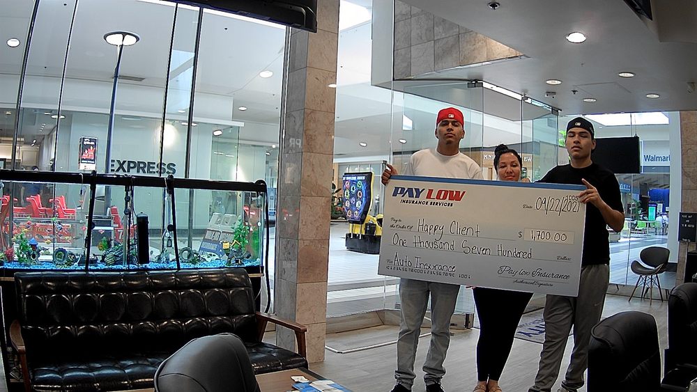 Pay Low Insurance Services