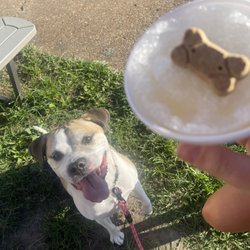 Under The Sun Sno Shack - Chicken Broth Snowcone