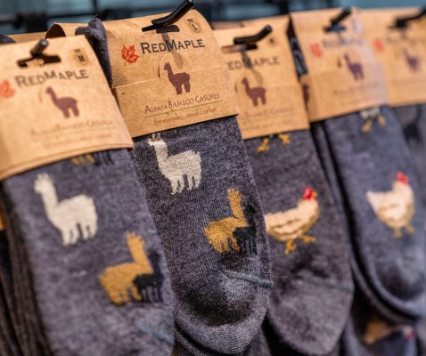 Alpaca by Design by null