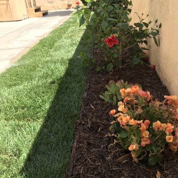 Jose The Gardener - Sealane project - Landscaping Near Me Jose The Gardener - Sealane project - Landscaping Near Me