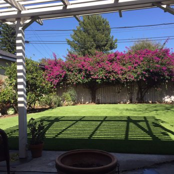 Earth Design - After- look at that lovely grass! - Landscape Architects or Designers Near Me - Santa Monica, California