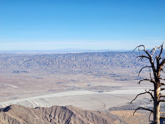 Palm Springs Aerial Tramway by null Palm Springs Aerial Tramway by null