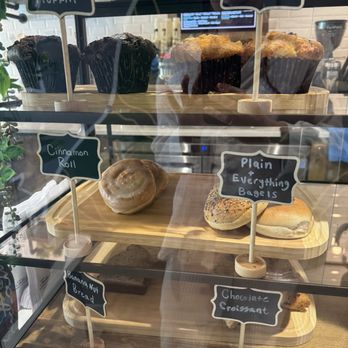 Foxtail Coffee - Pastry case - Coffee & Tea Near Me - Winter Springs, Florida