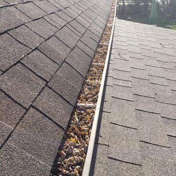 Wayne Windows - Leaves - Gutter Services Near Me - Lake Bluff, Illinois